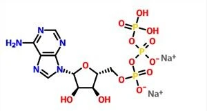 Adenosina trifosfat disòdic CAS NO. 987-65-5