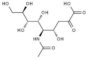 N - Acetilneuminic àcid CAS núm .:131-48-6