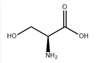 L-Serine CAS NO.:56-45-1